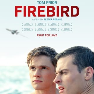 Poster for the movie "Firebird"